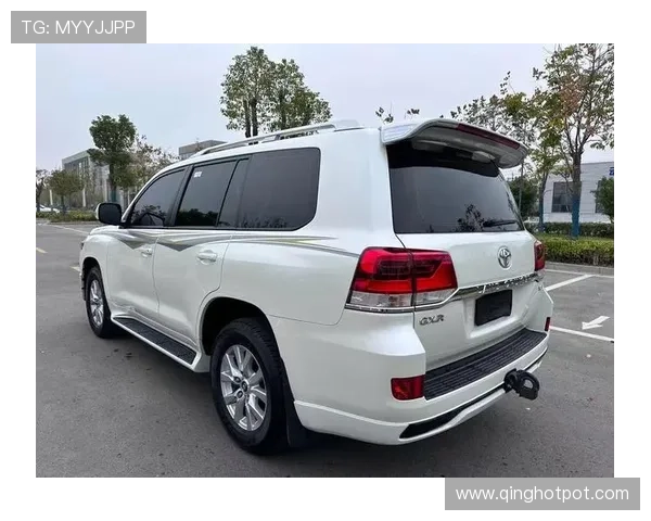 19酷路泽4600大V8的‘反差感’